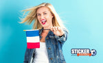 Pack de 10 - Drapeau France football 15X21 cm - Vignette | Sticker Foot