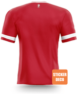 Déco stickers Standard de Liege - Vignette | stickers foot