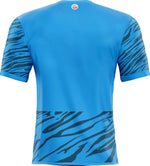 Déco sticker maillot Hansa Rostock 2023 - Vignette | stickers foot