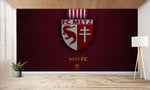 papier peint foot FC Metz France football - Vignette | stickers foot