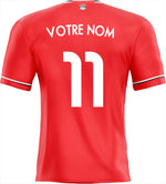 Déco adhésif maillot Egypte 2023 - Vignette | Sticker Foot