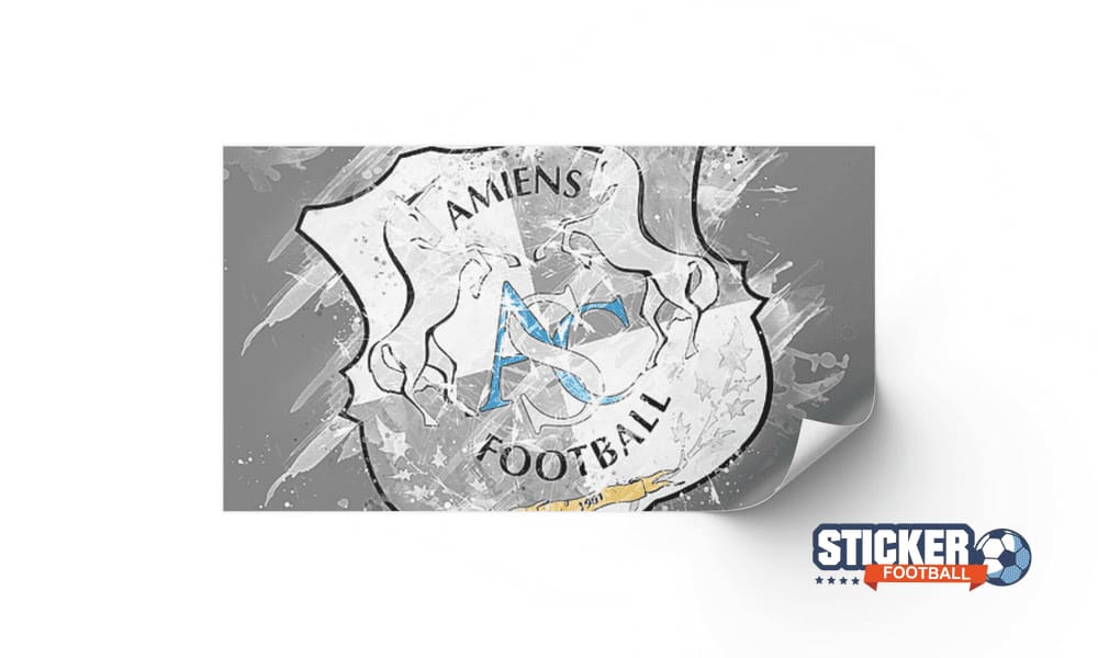 Décoration toile foot logo Amiens SC
