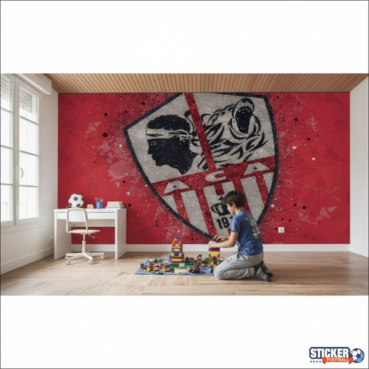 Visualisation papier peint foot AC Ajaccio deco