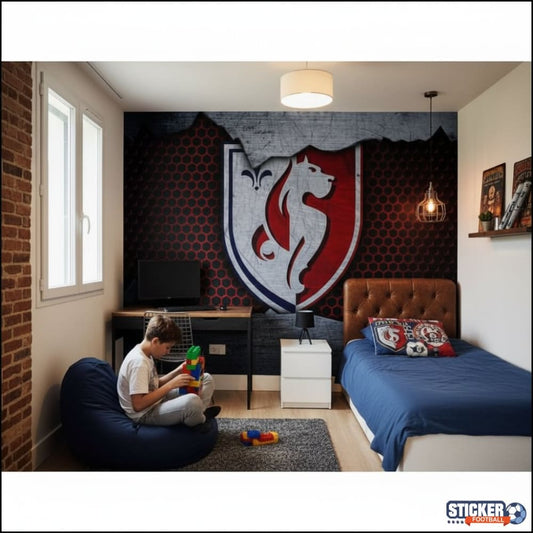Visualisation papier peint football Lille LOSC supporter