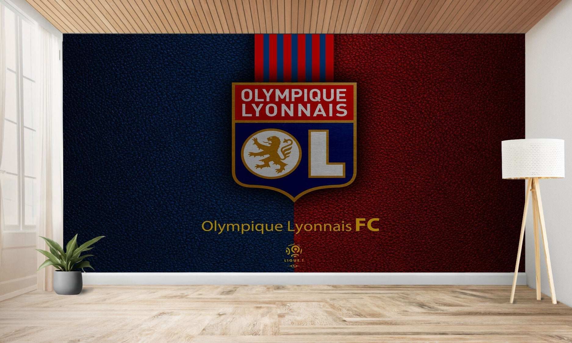 Peinture murale de l’Olympique Lyonnais FC.