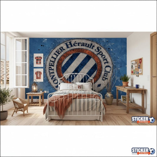 Visualisation papier peint football Montpellier logo