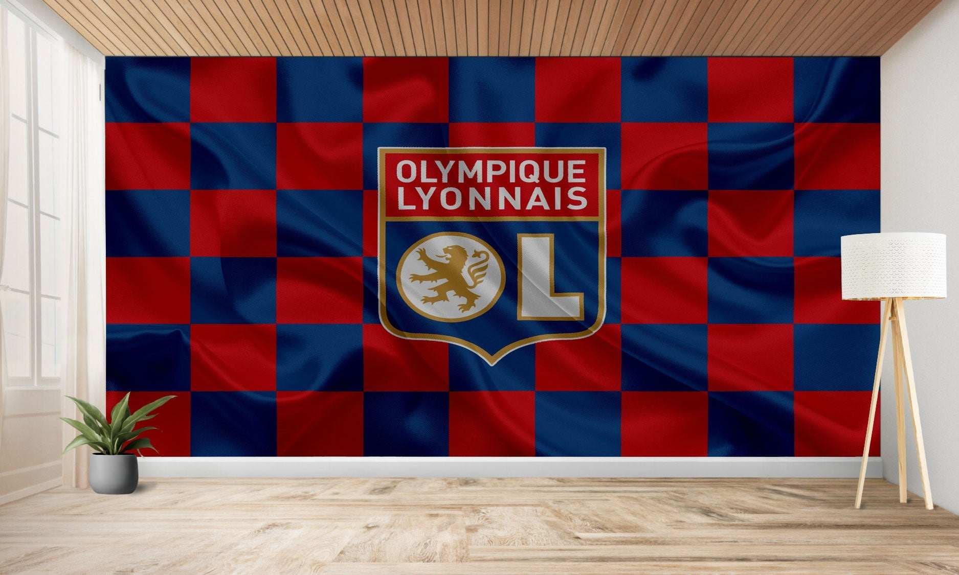 Posters sur le thème Olympique Lyonnais Posters sur le thème Olympique Lyonnais