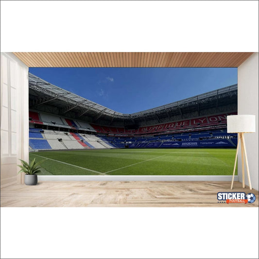 Peinture murale d’un stade couvert.