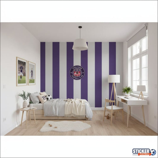 Visualisation papier peint football Toulouse