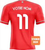 Déco adhésif maillot Egypte 2023 - Vignette | stickers foot