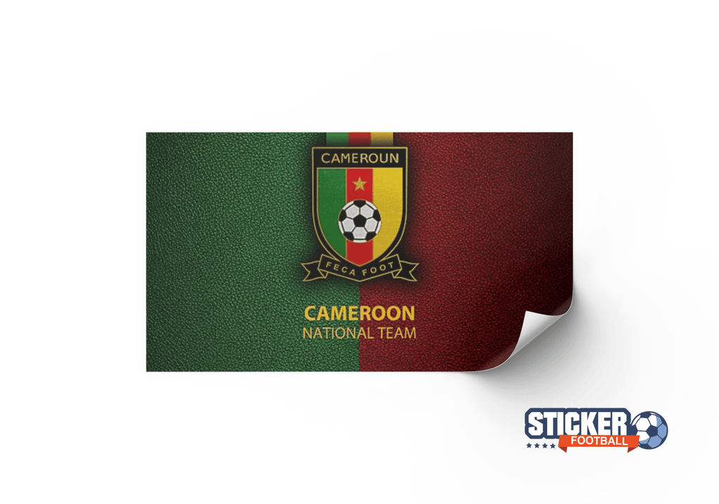Déco foot tableau logo Cameroun équipe nationale