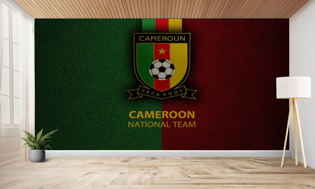 papier peint foot Cameroun football logo