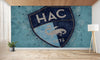 papier peint foot Le Havre HAC