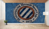 papier peint football Montpellier logo